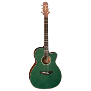 Takamine LTD2025